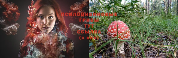бошки Баксан