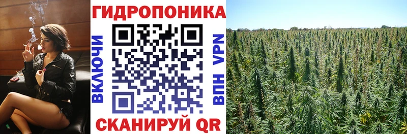 сколько стоит  Сосновый Бор  кракен маркетплейс  Шишки марихуана марихуана 